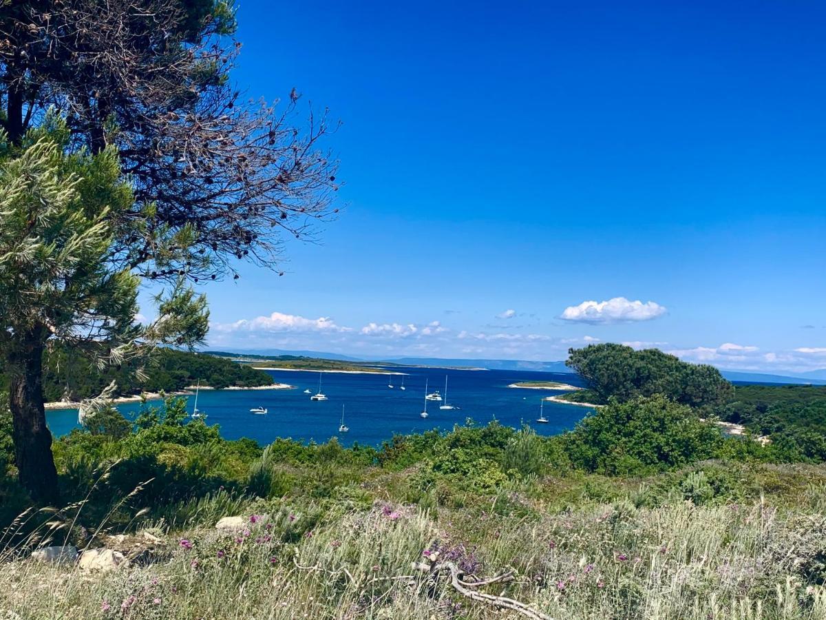 Villa Joka Banjole Εξωτερικό φωτογραφία